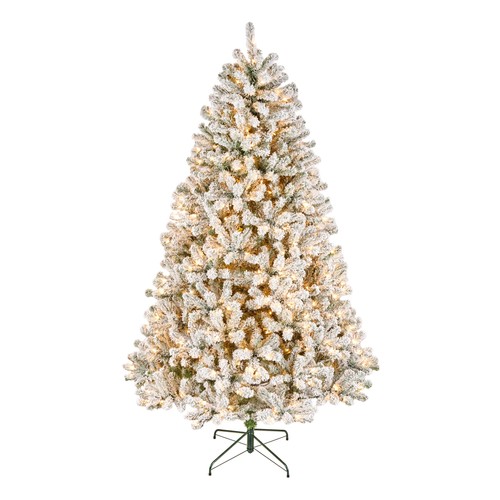 Prelit flocked acacia - ft,