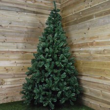8ft (240cm) Imperial Pine