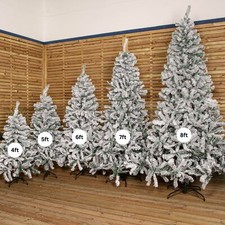 Choice of Size: Snow Flocked